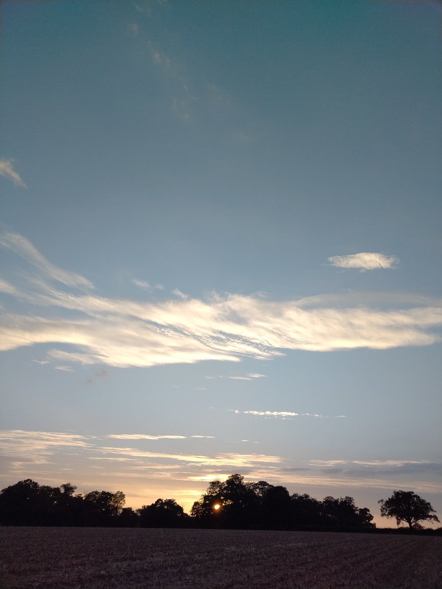 SDetectorist's tweet image. A lovely way to end the day, watching the sun drop down behind the trees 🤗