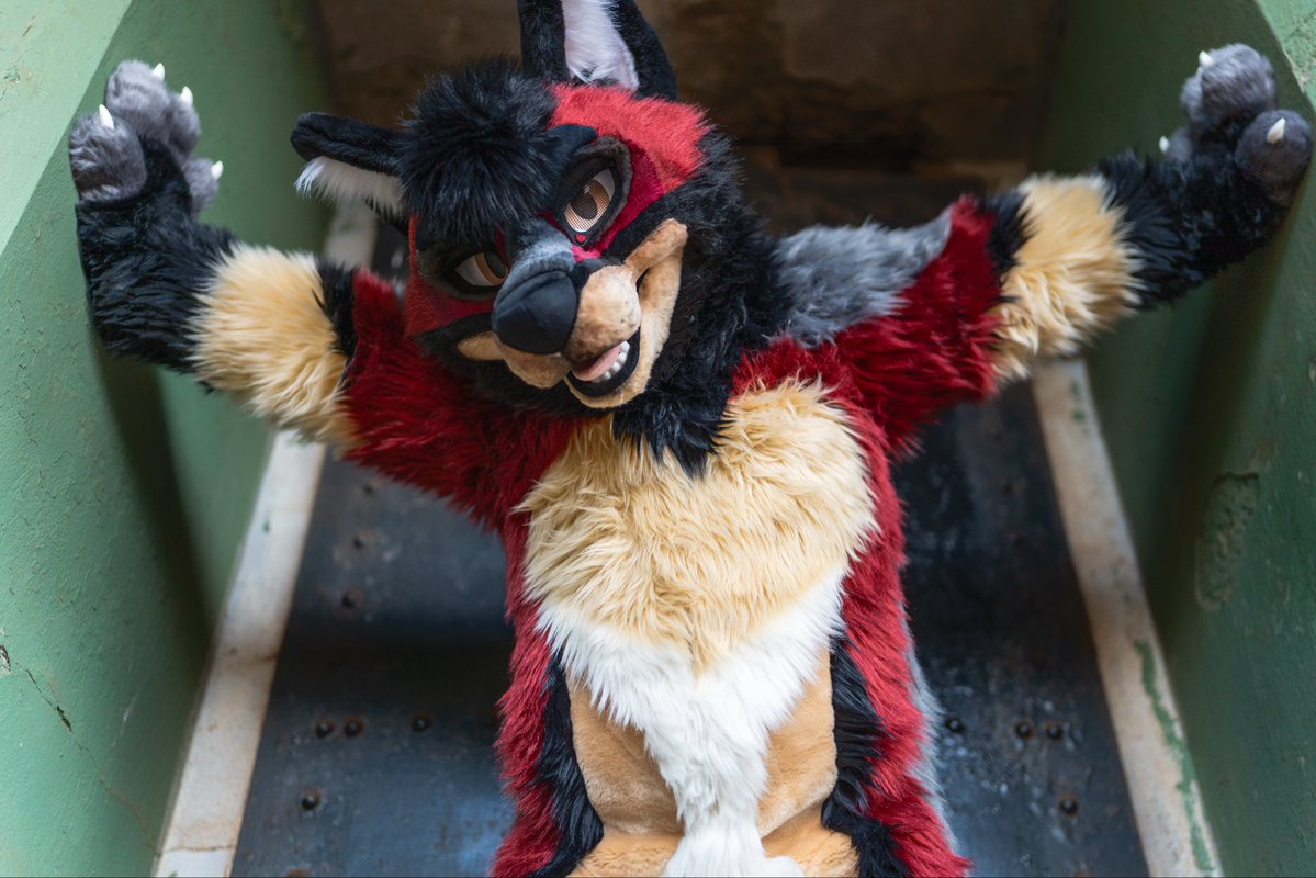 FeltonWuff's tweet image. Watcha doin&apos; down there?
#FursuitFriday 

📸: @YukitoTheFox 
🪡: @mixedcandy