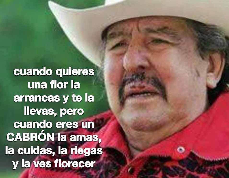 emociones amarillas (@conoloracigarro) on Twitter photo 