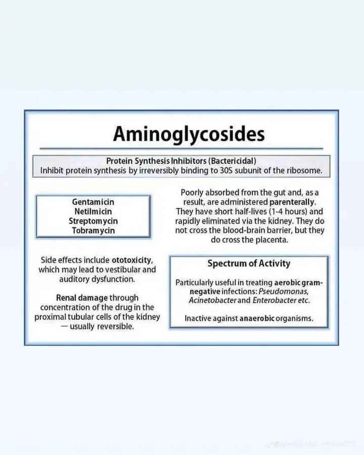 Propharm7's tweet image. ๐ก Aminoglycosides