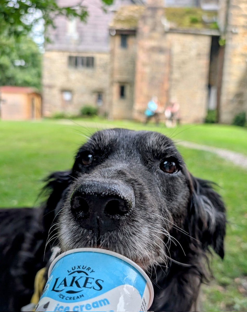 adventurous_moomin tweet media