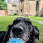 Photo by adventurous_moomin (@CuddleyKelly)