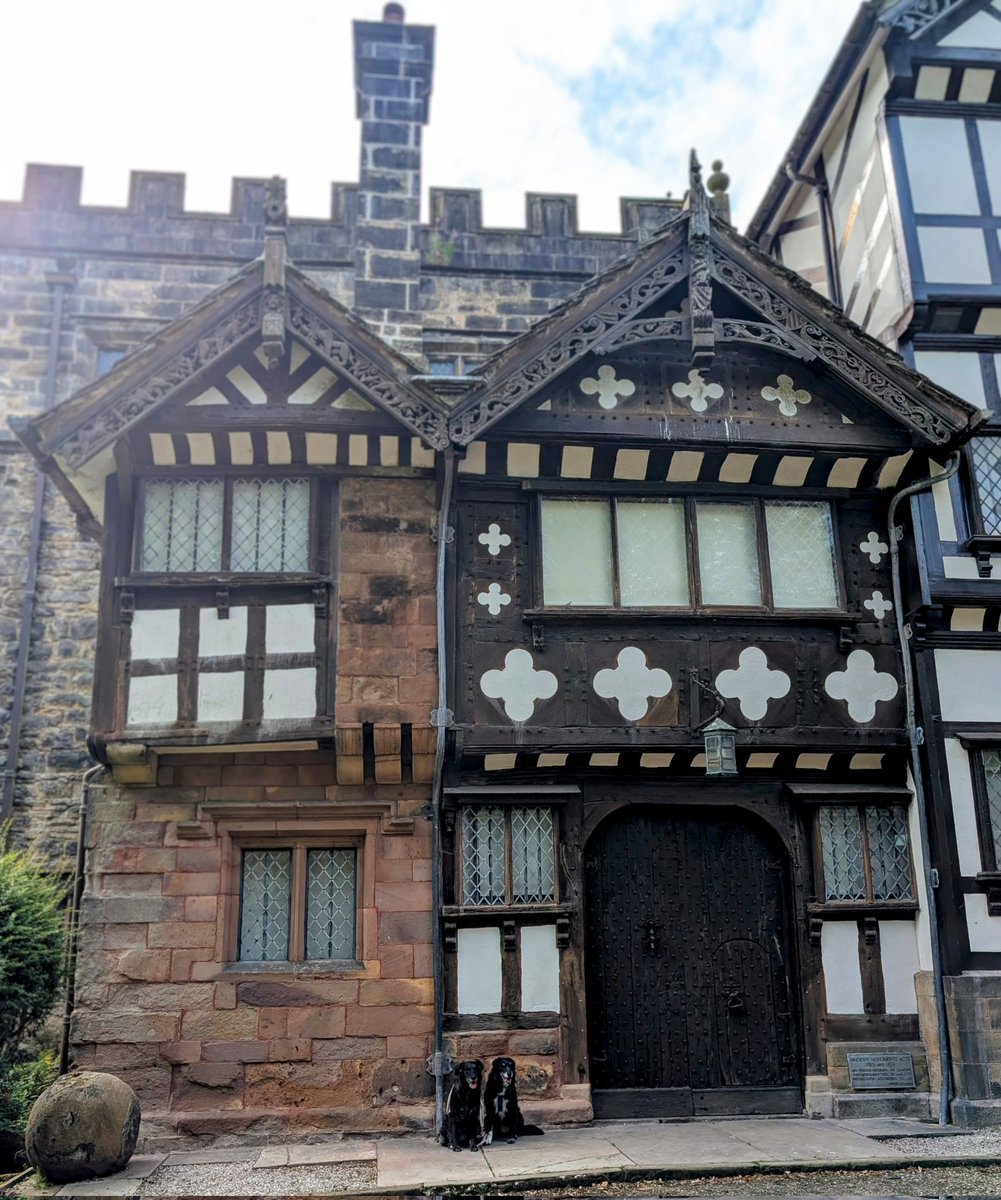 adventurous_moomin tweet media