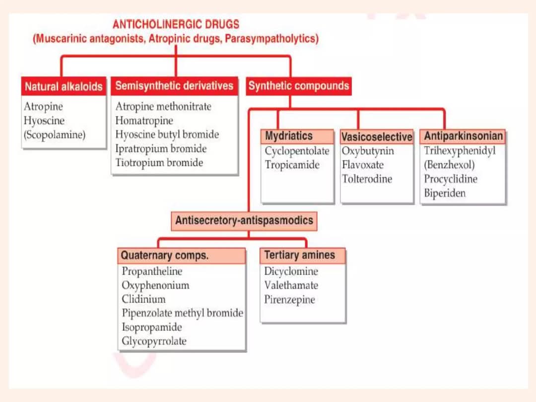 Propharm7's tweet image. ๐ก Anticholinergic Drugs