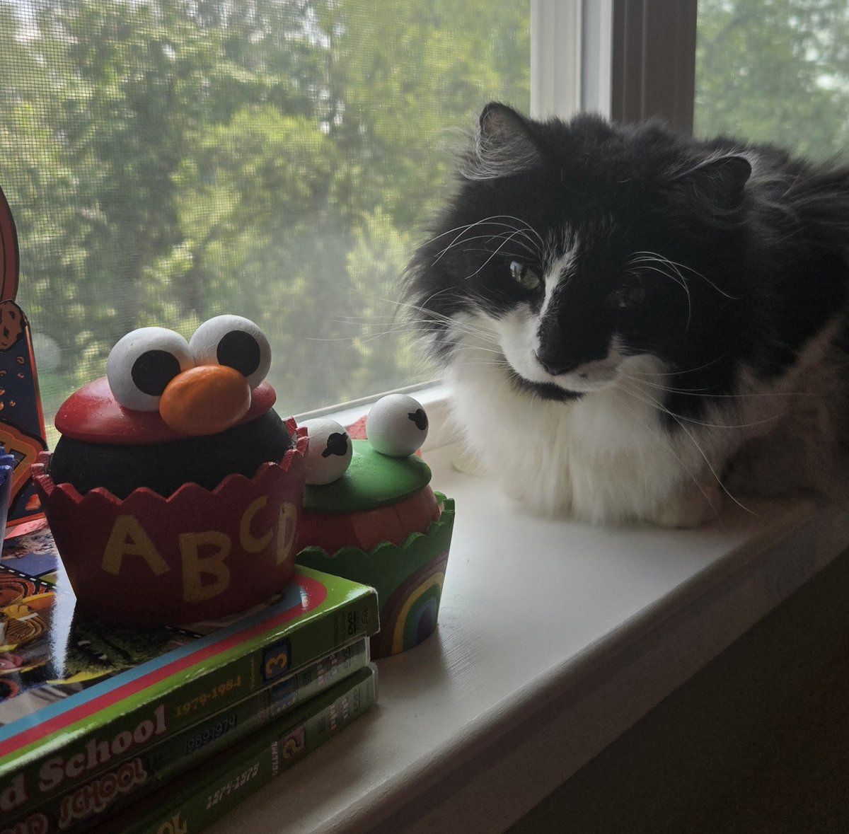 stephanicci's tweet image. Good boy