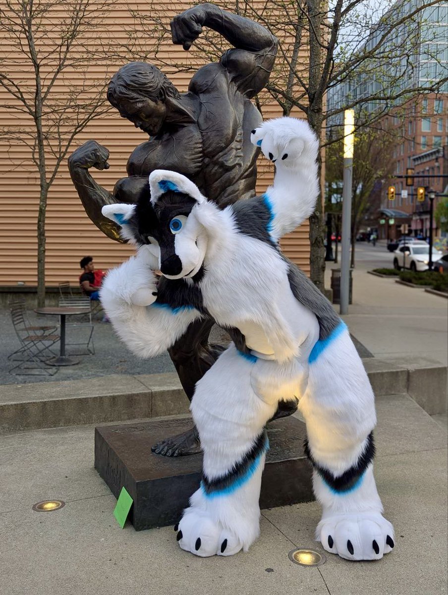 thedoggodex's tweet image. Sometimes you just gotta ignore the haters! Happy #FursuitFriday