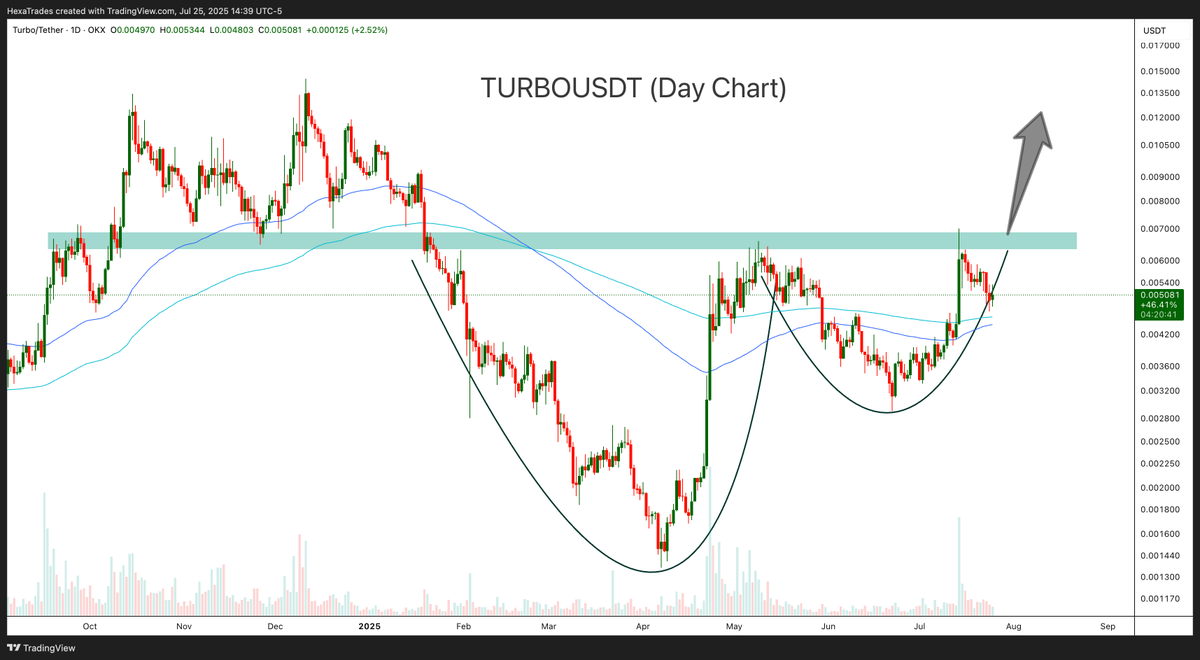 HexaTrades's tweet image. $TURBO price forming a cup and handle pattern in day chart.
#turbousdt