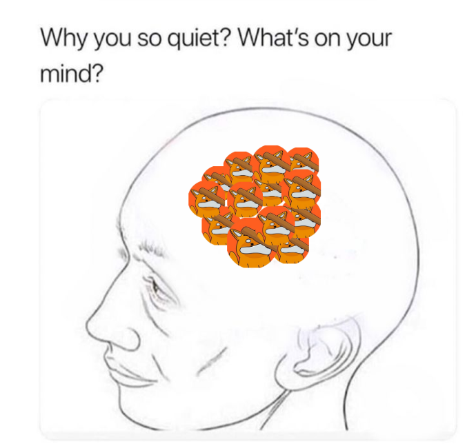 johanlieberteth's tweet image. Mind is 24/7 with @bonk_fun 🤭