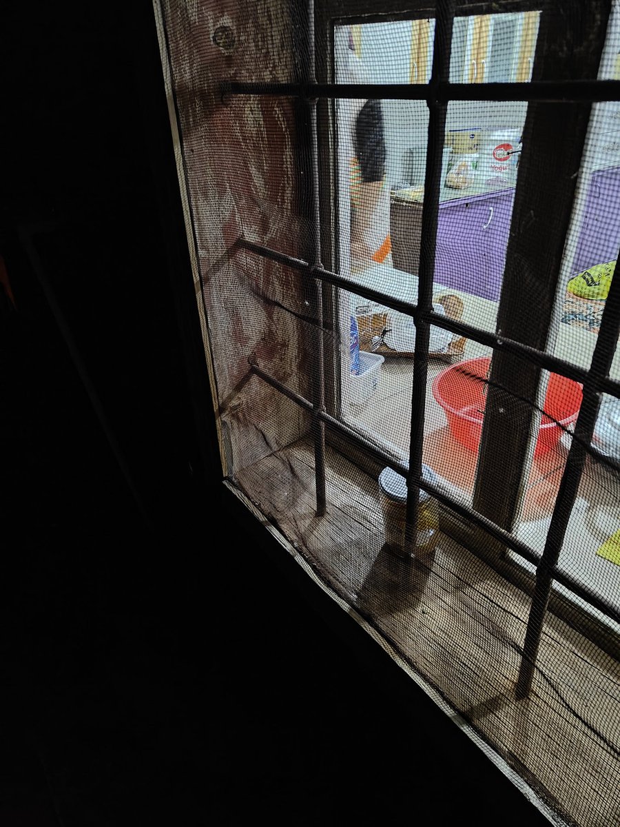 Koskoca(!) hayatımın içinde ''Ne çok şey değişmiş'' derken, toprak bir yol beni bir yere çıkardı. Hiçbir şey değişmemiş. Bir küp peyniri, eski bir pencere...
Ben çocukluğuma dönmedim ama,
o beni burada buldu.
<a href="/merve__akpinar/">Merve</a>