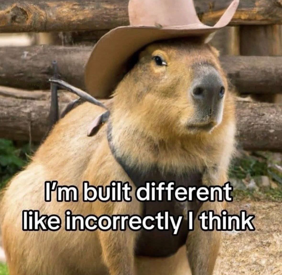 ADHD Memes (@adhdforreal) on Twitter photo 