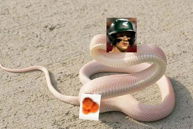 Donny comes in clutch with the 2 out dick missile to the wall. #statechamps #whitemamba #fucknewton