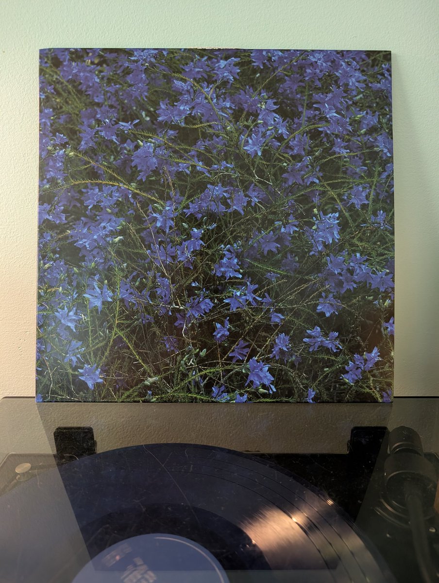 funkentechno's tweet image. Jefre Cantu-Ledesma - Gift Songs

Months later I'm still regularly rinsing this slice of godtier ambient gold. No matter how stressed I am, the 20 minute title trash washes it all away