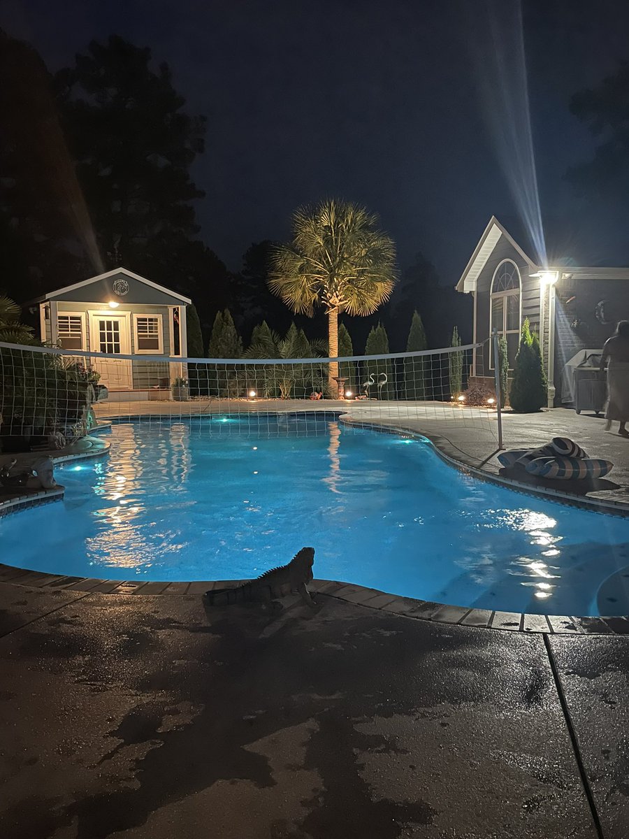 MotivationMath's tweet image. Summer things