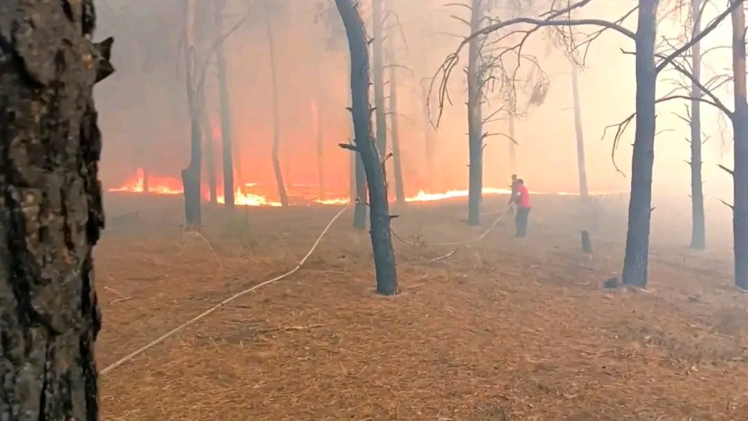 Irina61032137's tweet image. Олешківський ліс...
Орки звісно нічого не гасили, ніяку пожежу
Два дні в Херсоні стояв смог і сморід...
По орківським словам, 42 гектара вигоріло
#Олешки
#ліс