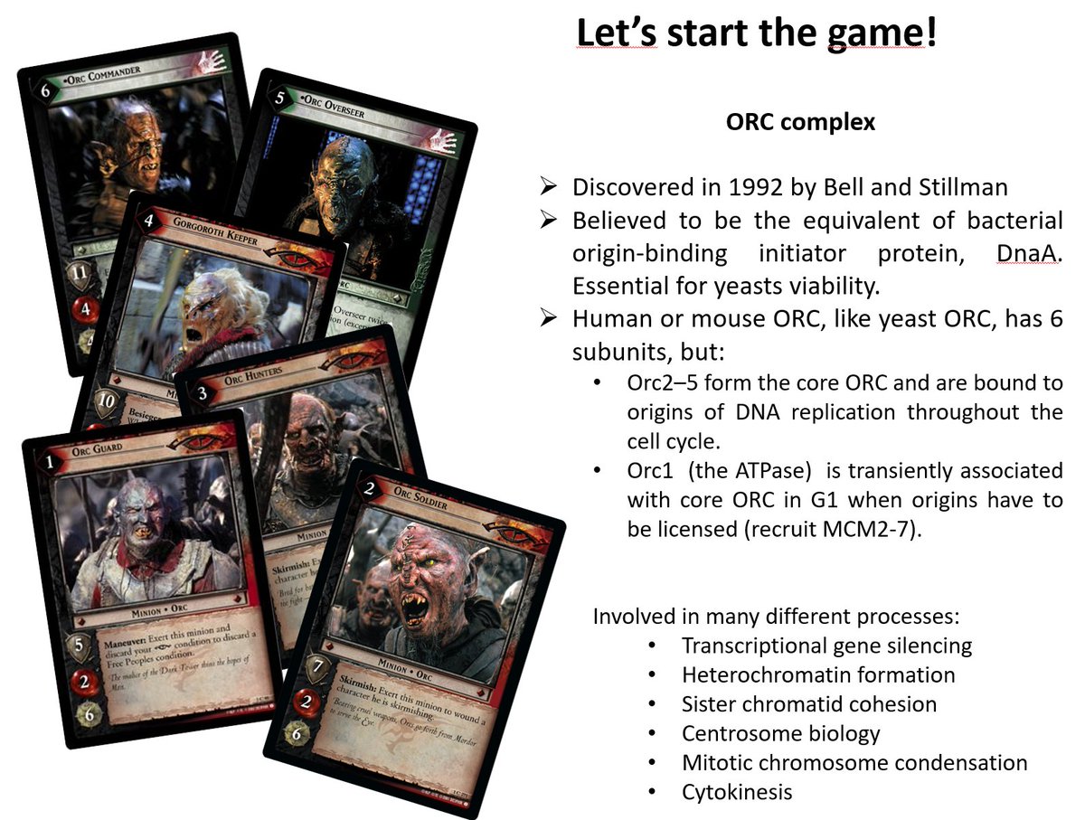 Róża Przanowska (@rprzanowska) on Twitter photo It’s interesting how an offside project can bring so much value. Working on ORCs gave me new experiences, deeper insights into #DNAreplication, and some of the most fun I have had giving talks.
#Orc #LOTR
Read more in <a href="/eLife/">eLife - the journal</a> Version of Record: doi.org/10.7554/eLife.… It’s interesting how an offside project can bring so much value. Working on ORCs gave me new experiences, deeper insights into #DNAreplication, and some of the most fun I have had giving talks.
#Orc #LOTR
Read more in <a href="/eLife/">eLife - the journal</a> Version of Record: doi.org/10.7554/eLife.…