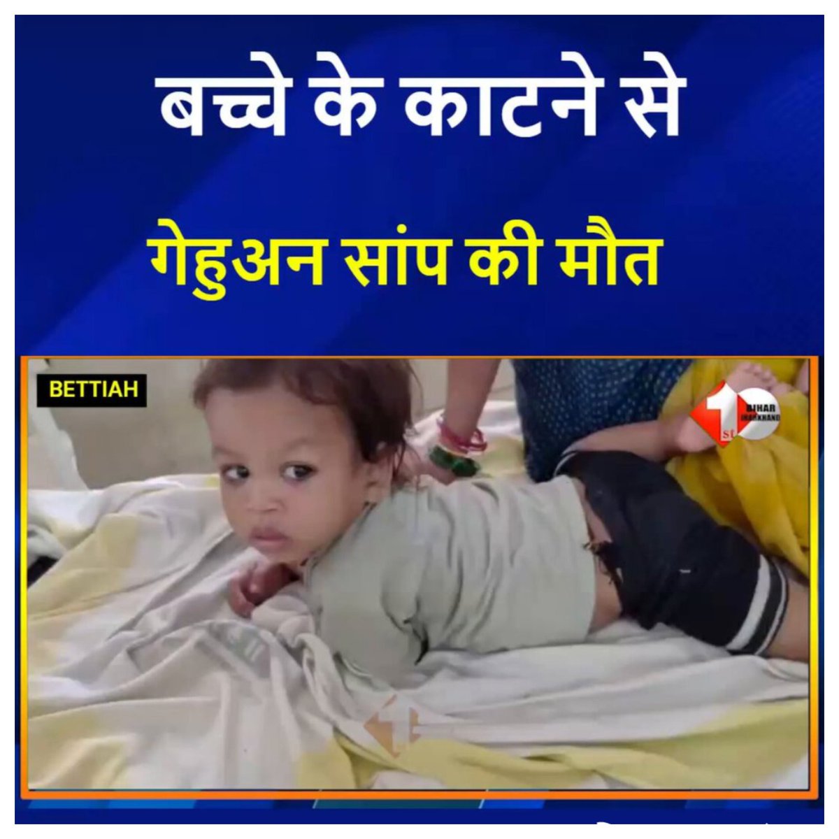 007AliSohrab's tweet image. बिहार में का बा?
बिहार मा ई बा!
गेहुअन साँप ने बच्चे को काटा, साँप मार गया, बच्चा एकदम स्वस्थ है!