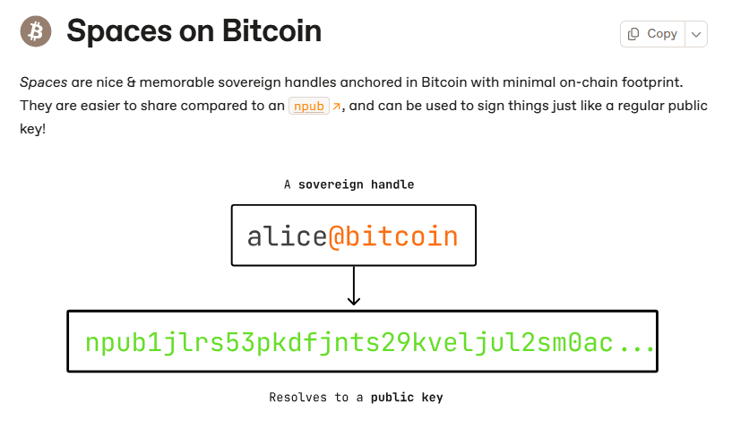 xcuriousbitcoin's tweet image. There will be a day when people finally understand Spaces on Bitcoin. @spacesprotocol
