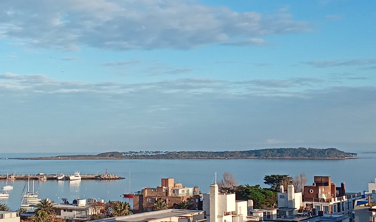 FitoSayago's tweet image. Ma帽ana un gran d铆a!! #puntadeleste #islagorritti #sinveranillo