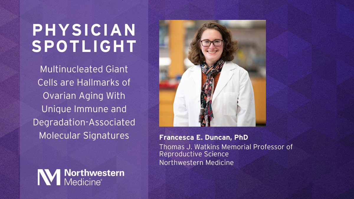 NM_ObGyn's tweet image. In a recently published study, scientists led by Francesca E. Duncan, PhD, discovered that multinucleated giant cells (MNGCs), long associated with chronic immune responses, form intricate networks in aging ovaries across species. Using advanced imaging and transcriptomic…