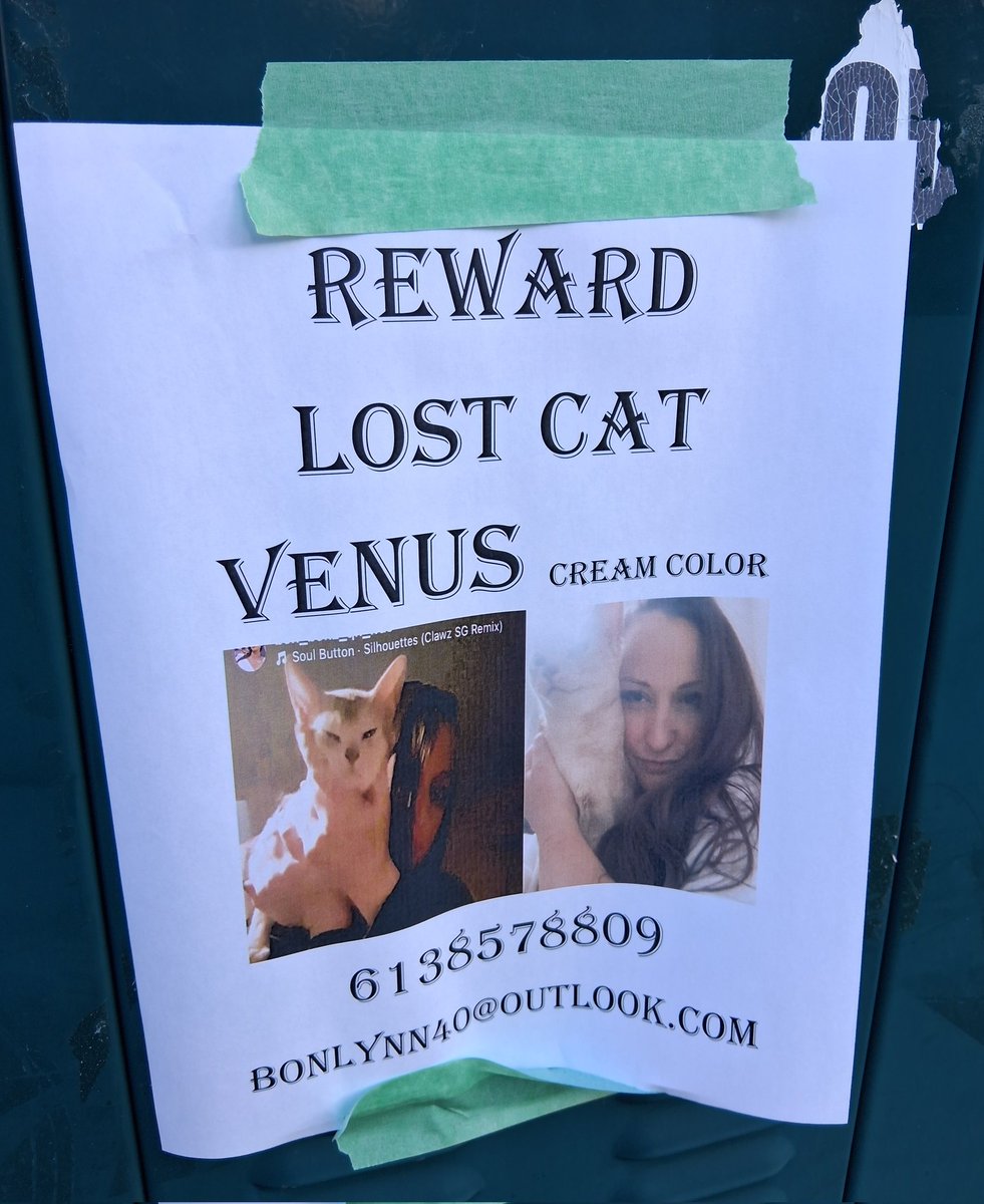 PLZ RT Centrepointe area #Ottawa #LostCat