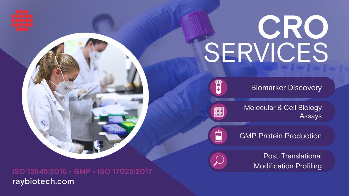 Whether you're a virtual company or need support for a specific project, our experienced scientists in Atlanta, GA are here to ensure your success. Benefit from our regulatory and quality expertise to achieve your research goals.
Explore the possibilities: raybiotech.com/cro-services