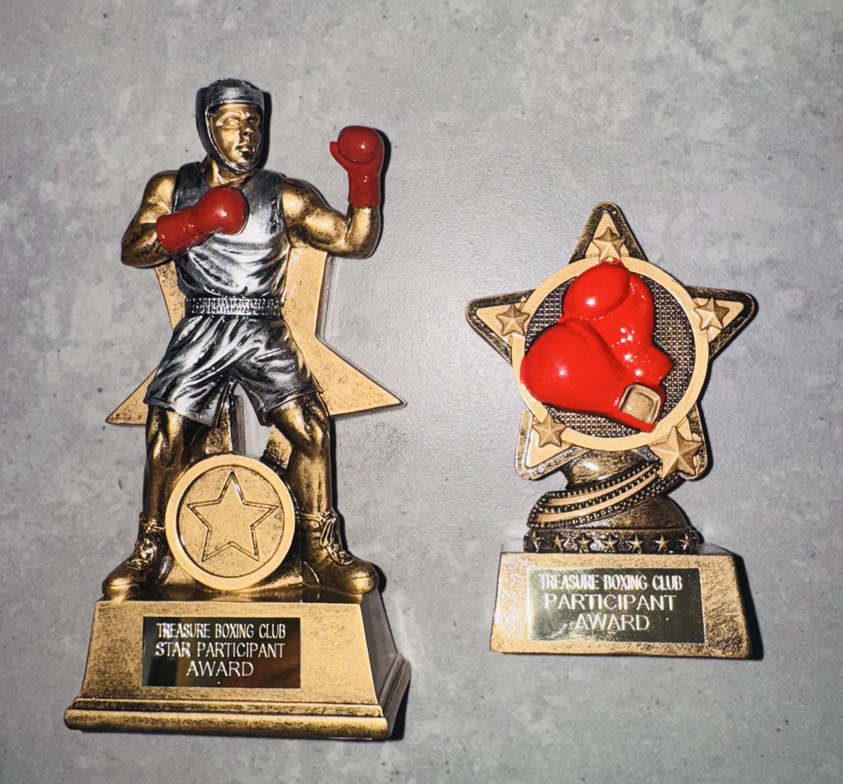 TreasureBoxing's tweet image. Summer Awards for some lucky children that attend our classes in Westminster, Camden and Southall. #TeamTreasure #NextGeneration