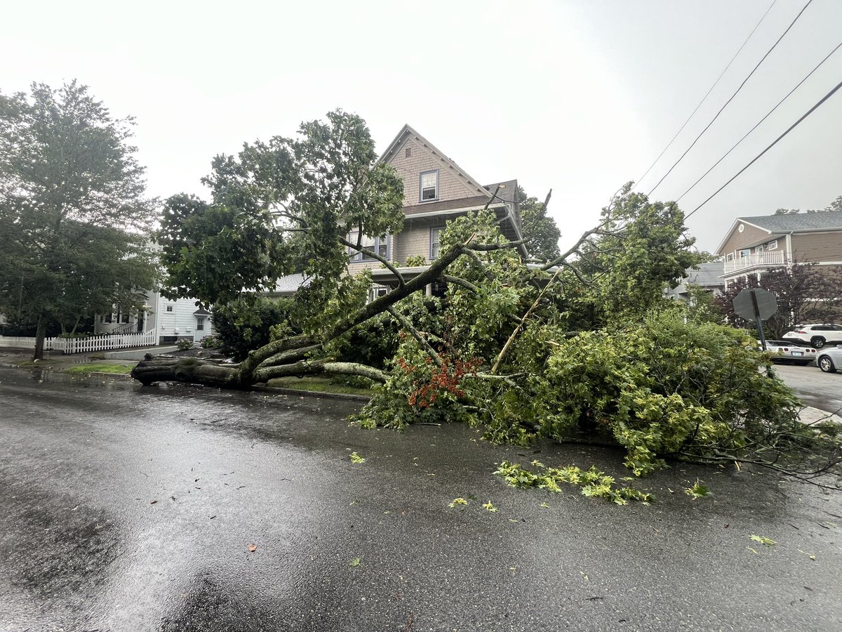 RyanWelchPhotog's tweet image. First round of this weather did some damage here on Summit Ave in Providence. @wpri12
