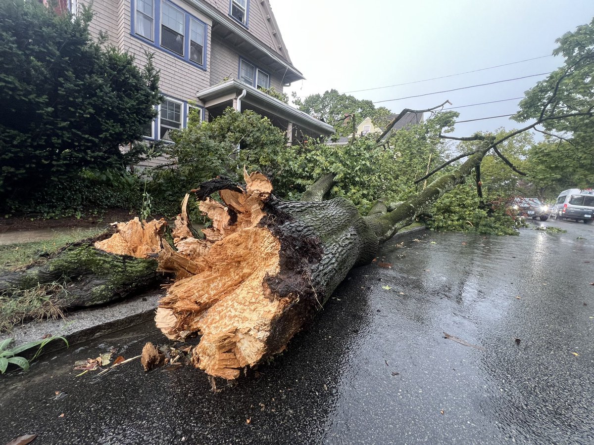 RyanWelchPhotog's tweet image. First round of this weather did some damage here on Summit Ave in Providence. @wpri12