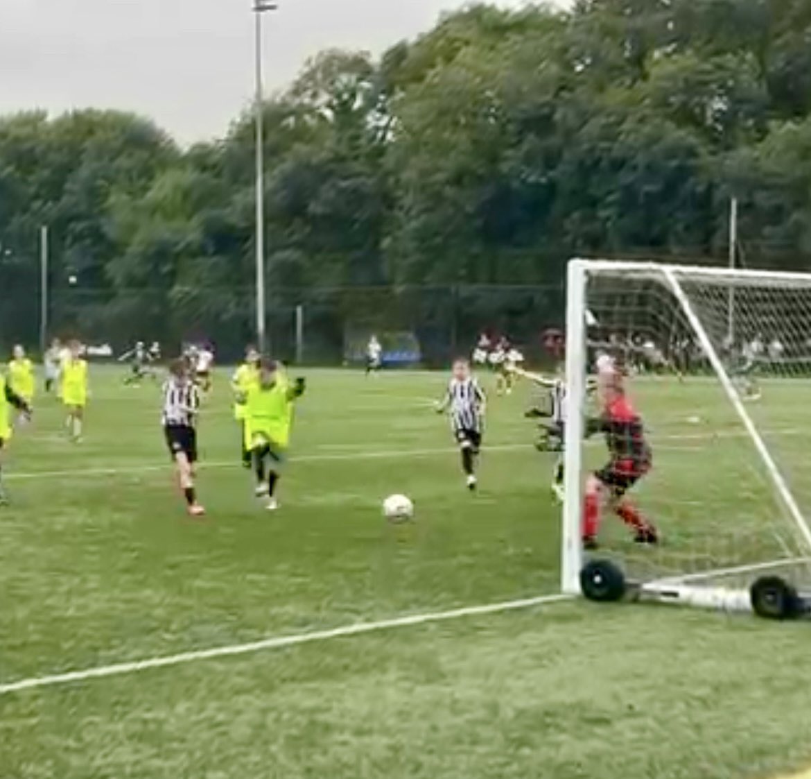 Rónán McHugh tweet media