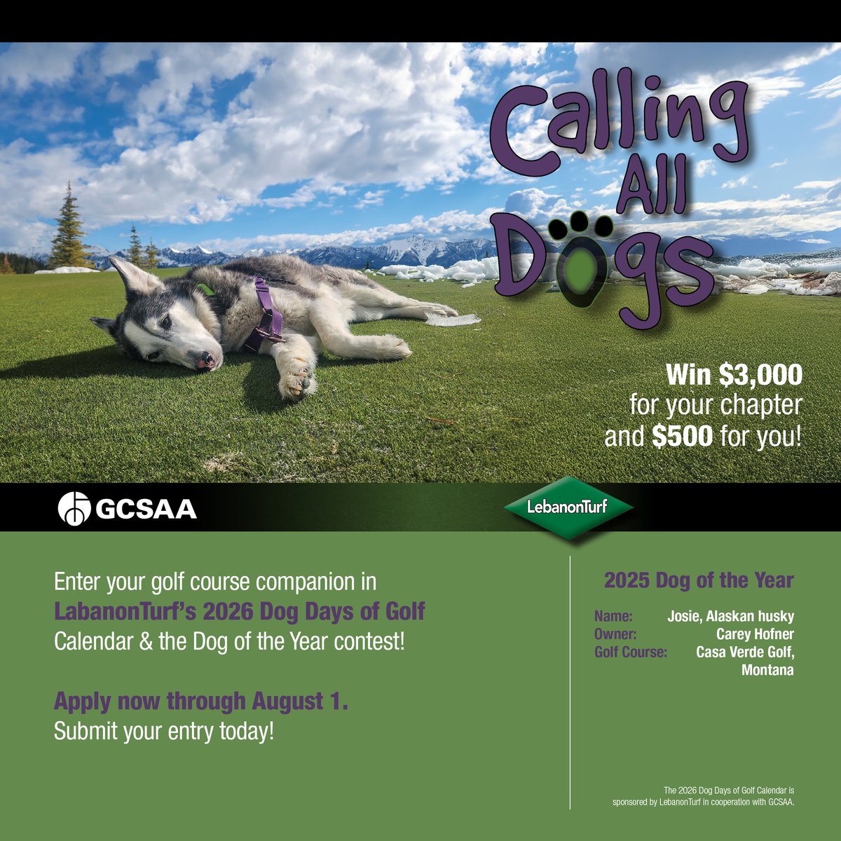GCSAA's tweet image. Calling all dogs! 🐕
Submit a photo — or multiple — your canine companion by August 1 for the 2026 Dog Days of Golf Calendar, sponsored by @LebTurf. You could win $3,000 for your chapter, $500 for you, bragging rights and a $2,000 charitable donation from Lebanon Turf and GCSAA…