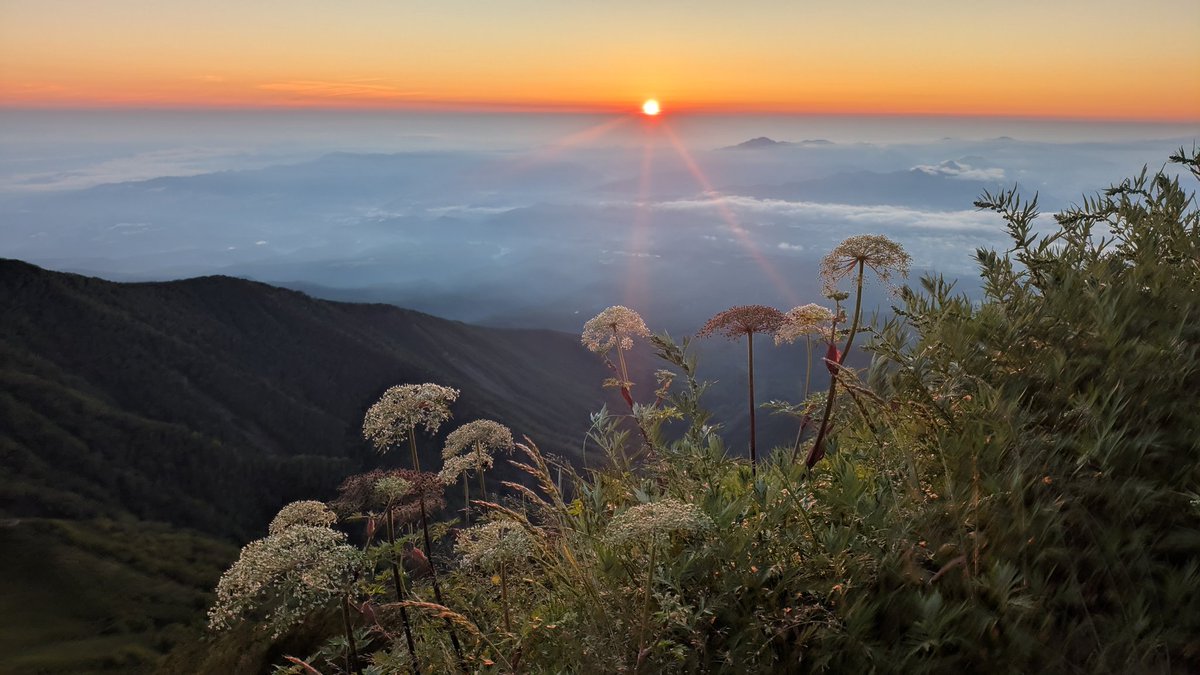 akadake2899m's tweet image. おはようございます。今朝の赤岳は晴れです。気温は10℃。風はほとんどなく穏やかです。
＃赤岳
＃八ヶ岳