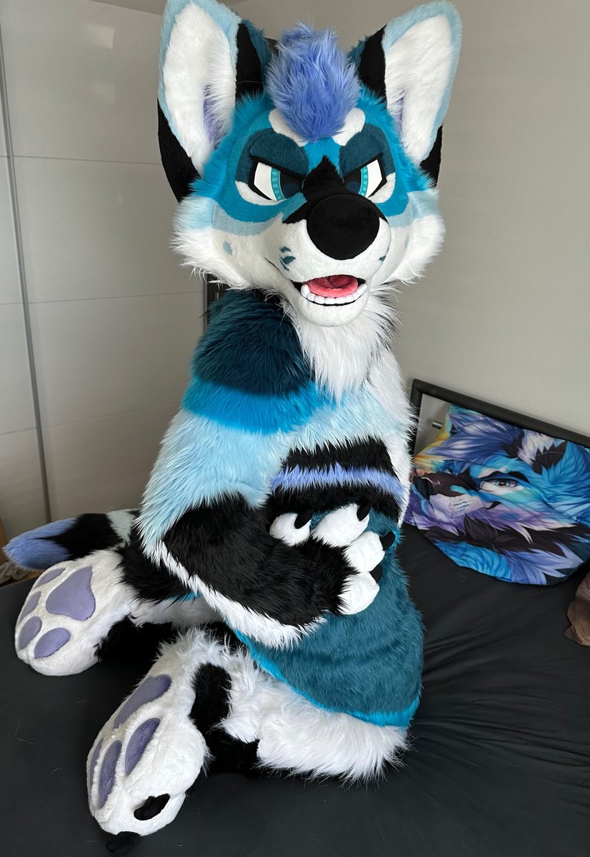 CiferJackal's tweet image. 🐾 Paws & Beans 🐾
✂️ @Fionka_Fursuits
📷 @DefusX #FursuitFriday