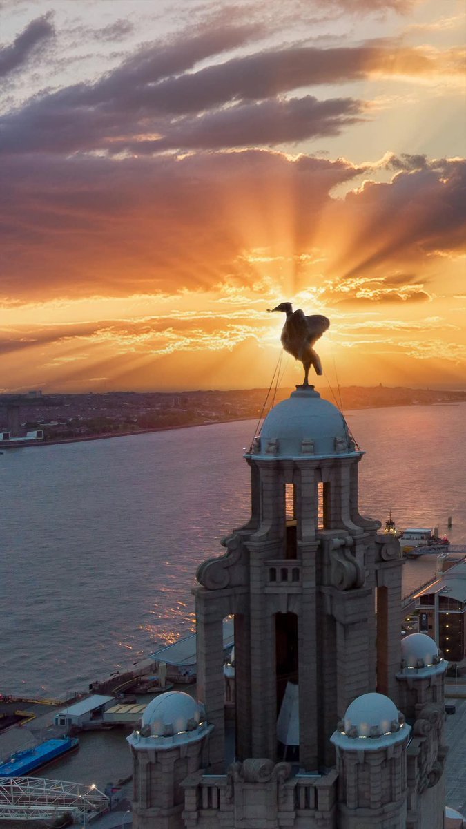 Liverpool Vista tweet media