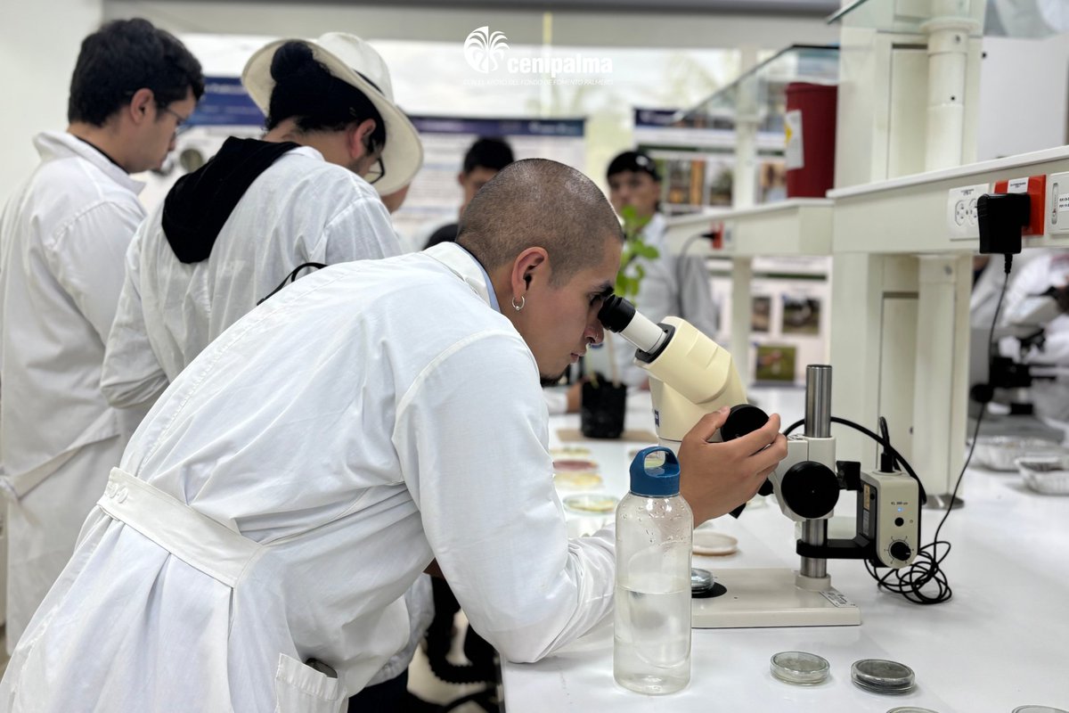 El relevo generacional es trascendental en todos los aspectos de la palmicultura, incluso en investigación, desarrollo e innovación, por eso, en el Campo Experimental Palmar de las Corocoras recibimos una visita de estudiantes de <a href="/UNALOficial/">Universidad Nacional de Colombia</a>, del programa de Agronomía