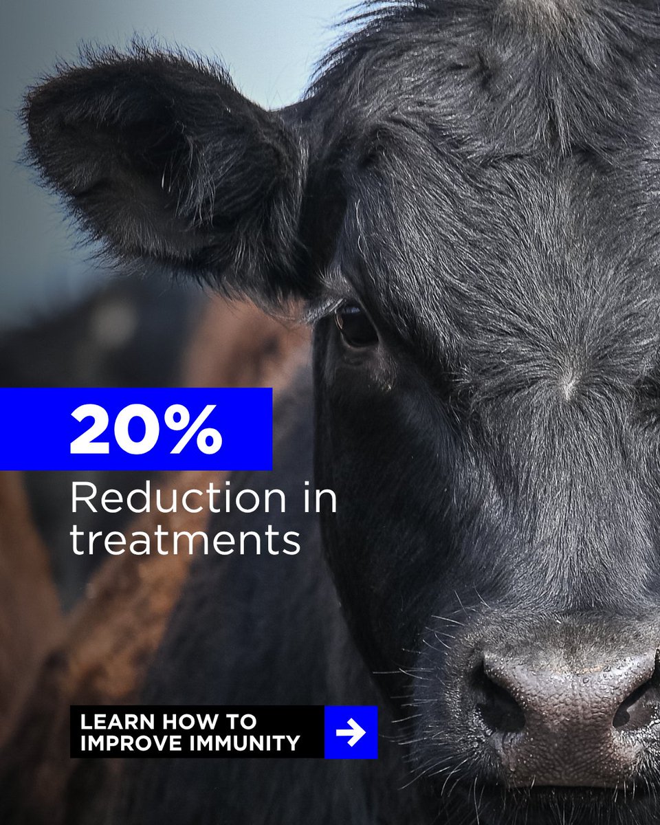 When health challenges strike, performance and profitability take a hit, but what if your herd was better prepared to fight back before stress or disease set in?​ Dr. Chris Reinhardt breaks down how supporting immunity with ZINPRO® can help cattle thrive.​ zinp.ro/4kZGaCe