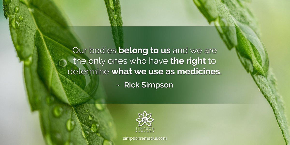 Simpson_Rick's tweet image. It is our natural right to use God-given plants as a medicine. 🌿