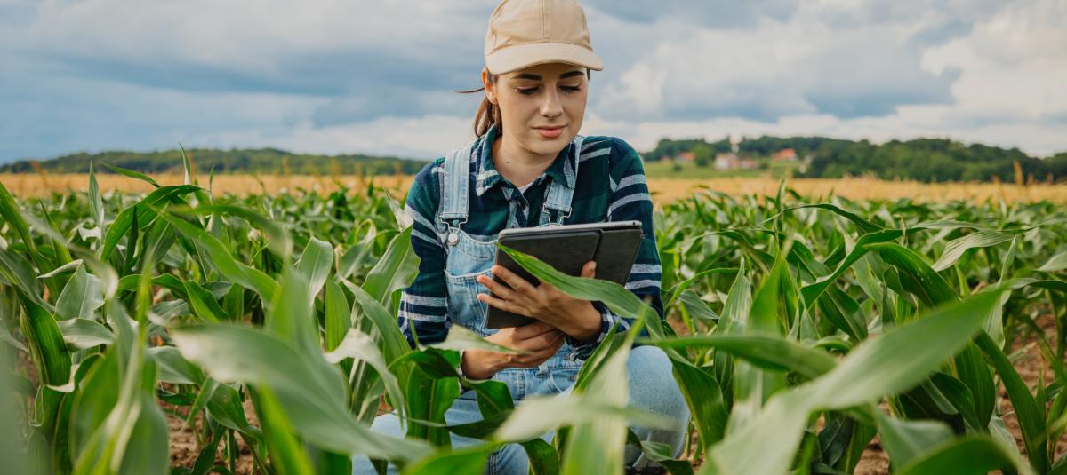 #BlogsET | Lea acá 'Agricultura sostenible en acción: Colombia entra a una nueva fase' ▶︎ blogs.eltiempo.com/cultivandoalse… 
✍️ por: María Helena Latorre 
Vía <a href="/eltiempoblogs/">Eltiempo blogs</a>