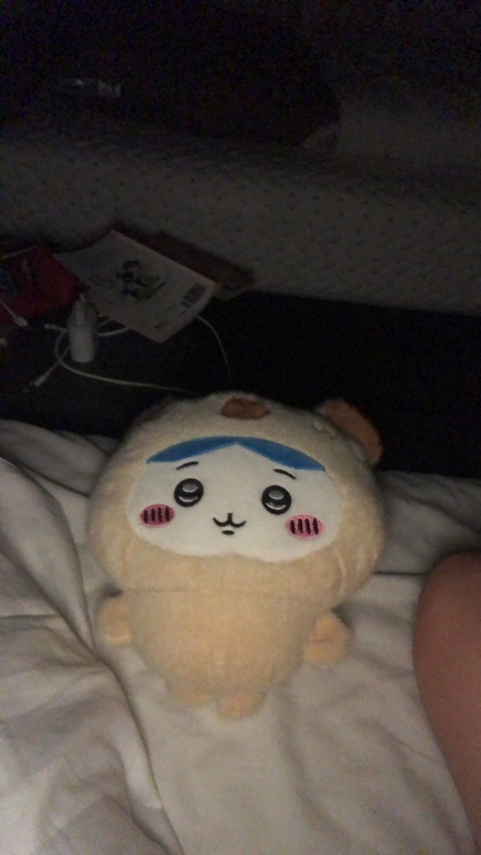 Temmie_da_temm's tweet image. Hachibara is coming be afraid.