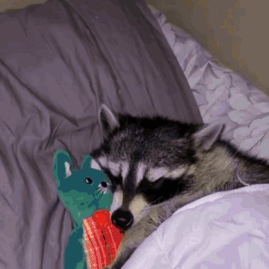ShouldHaveRacc's tweet image. eepy