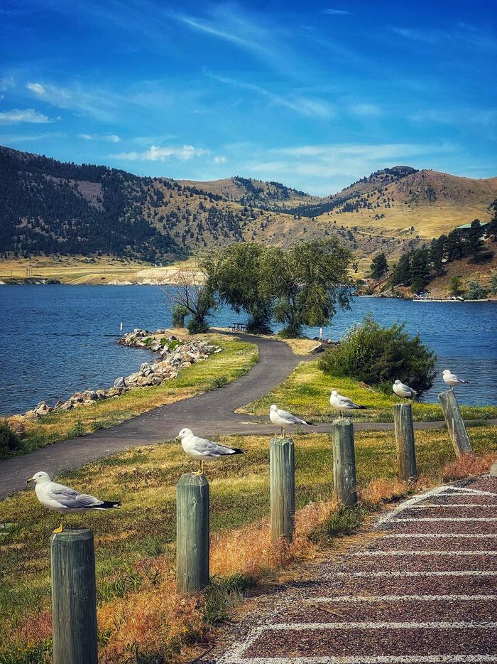 BLMNational's tweet image. In celebration of the 35th anniversary of the Americans with Disabilities Act, we’re shining a spotlight on accessible sites across Montana, North Dakota, and South Dakota. 🌟
Explore an accessible ghost town, enjoy camping along the beautiful Missouri River, or take a scenic…