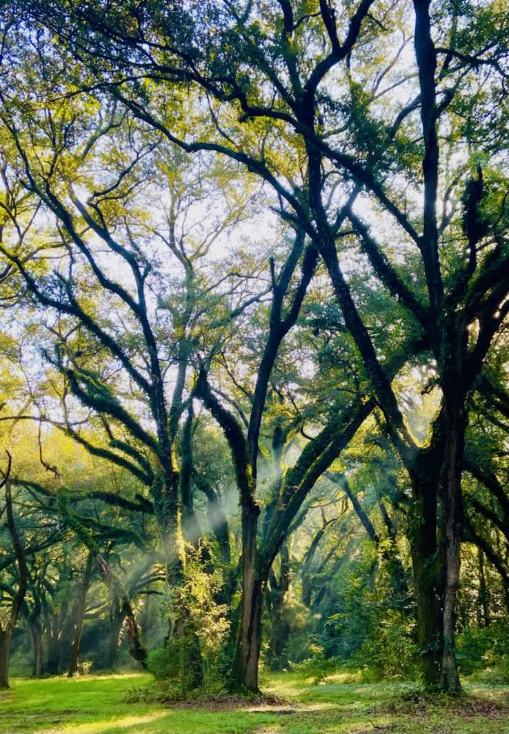 My happy place.
#farmgirl
#farmlife