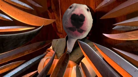 PupperNelson's tweet image. what&apos;s an opinion on dogs that will have you like this?