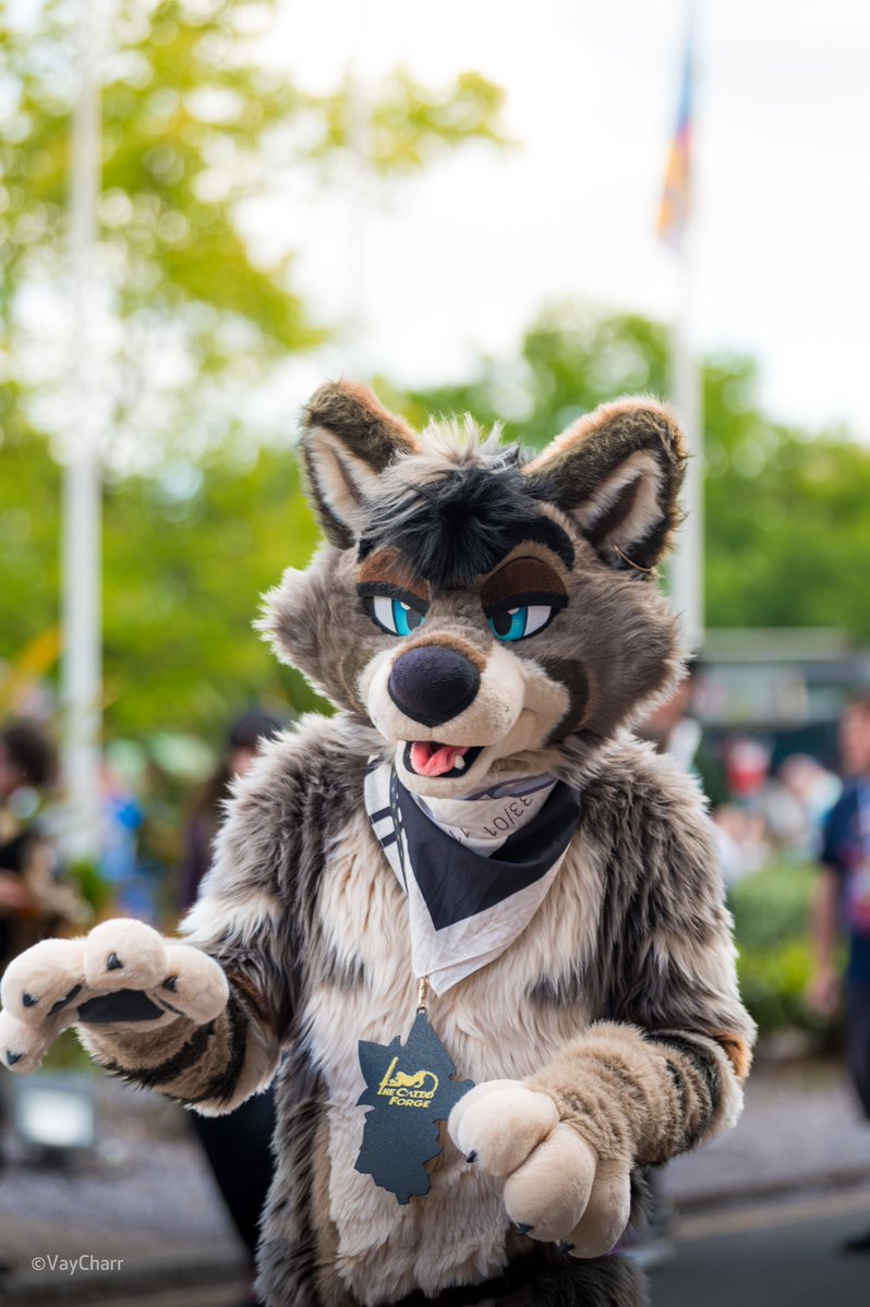 Vay ➡️ CFZ (@vaycharr) on Twitter photo This #fursuitfriday - <a href="/tavtavern/">Tav 🔜 NFC, CFZ</a> is sneaking up on you..
What are they planning?
Taken at #Confuzzled 2025! This #fursuitfriday - <a href="/tavtavern/">Tav 🔜 NFC, CFZ</a> is sneaking up on you..
What are they planning?
Taken at #Confuzzled 2025!