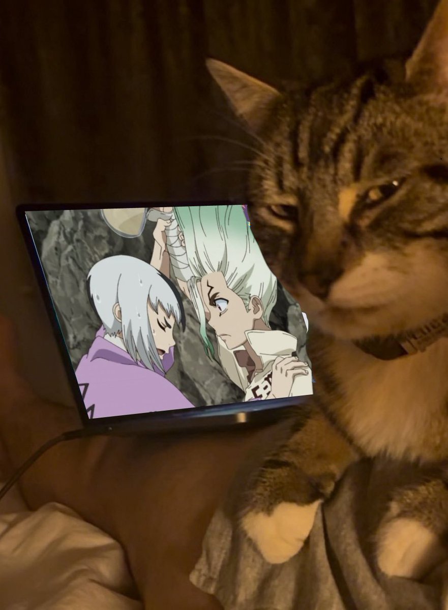C0NF0RTSENGEN's tweet image. Gat Homophobic Does not approve sengen