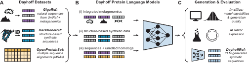 In 1965, Margaret Dayhoff published the Atlas of Protein Sequence and Structure, which collated the 65 proteins whose amino acid sequences were then known. 

Inspired by that Atlas, today we are releasing the Dayhoff Atlas of protein sequence data and protein language models.