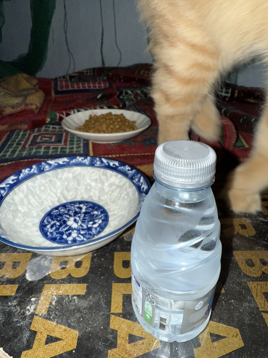 E2020For's tweet photo. @Salmaalre في كل كبد رطبة أجر https://t.co/Wvb1PySDdh