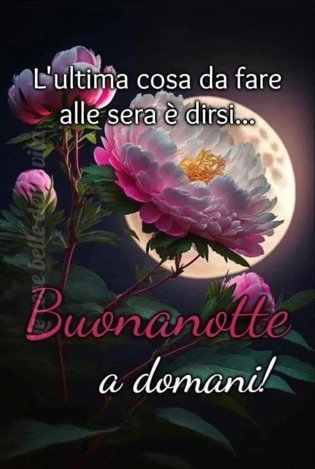 RITABIANCHi56 tweet media