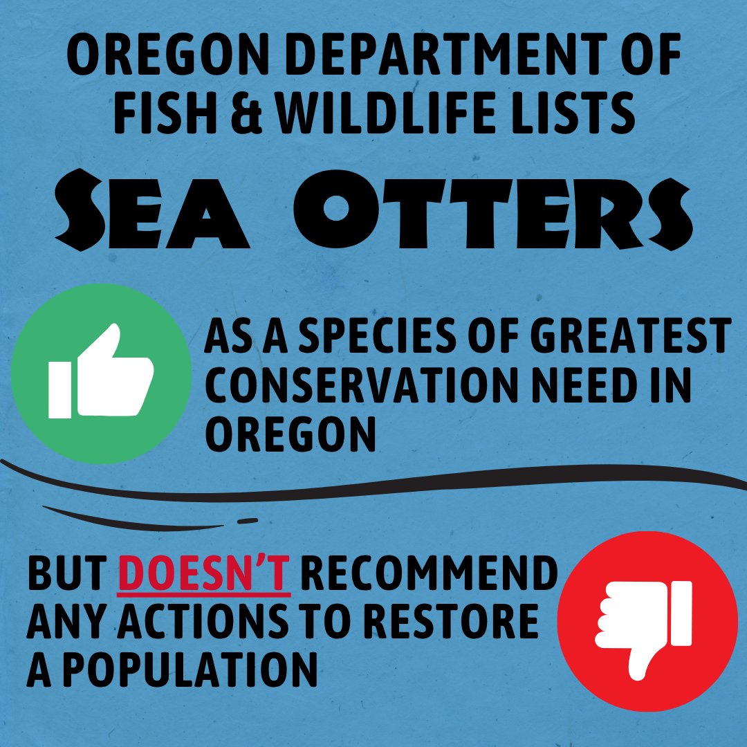 ElakhaA's tweet image. WE NEED YOUR HELP - Tell #ODFW to include #seaotters in the future #conservation plans for the #OregonCoast 👏

Share your voice using the link below! 

elakhaalliance.org/action-alert-w…