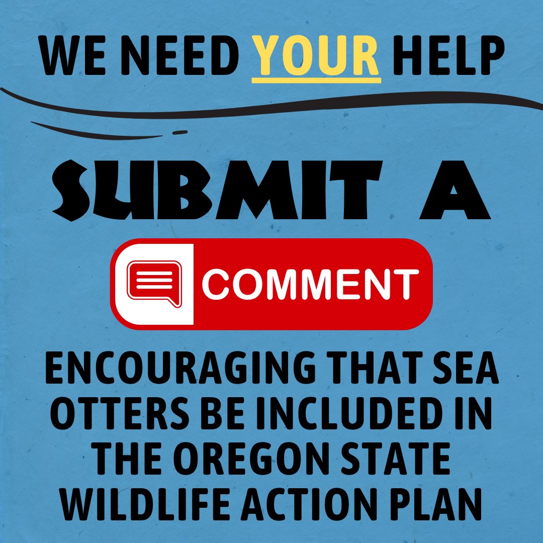 ElakhaA's tweet image. WE NEED YOUR HELP - Tell #ODFW to include #seaotters in the future #conservation plans for the #OregonCoast 👏

Share your voice using the link below! 

elakhaalliance.org/action-alert-w…