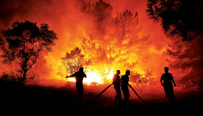 Ormanı yangınlarını canı pahasına  söndürmeye çalışan kişiler kamu işçileri. Onların ortalama maaşı 36 bin lira. 01.01.2025’ten beri sözleşme bekliyorlar. Bütçeden faize pay yüzde 17 iken 600 bin kamu işçisine yüzde 2!
Reva mı?